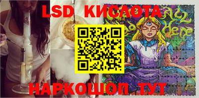 прущие грибы Пугачёв