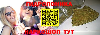прущие крисы Пушкино