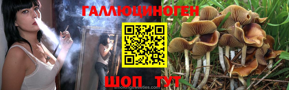 Псилоцибиновые грибы Psilocybine cubensis Реутов